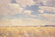 Childe Hassam Afternoon Sky,Harney Desert (mk43) oil painting on canvas